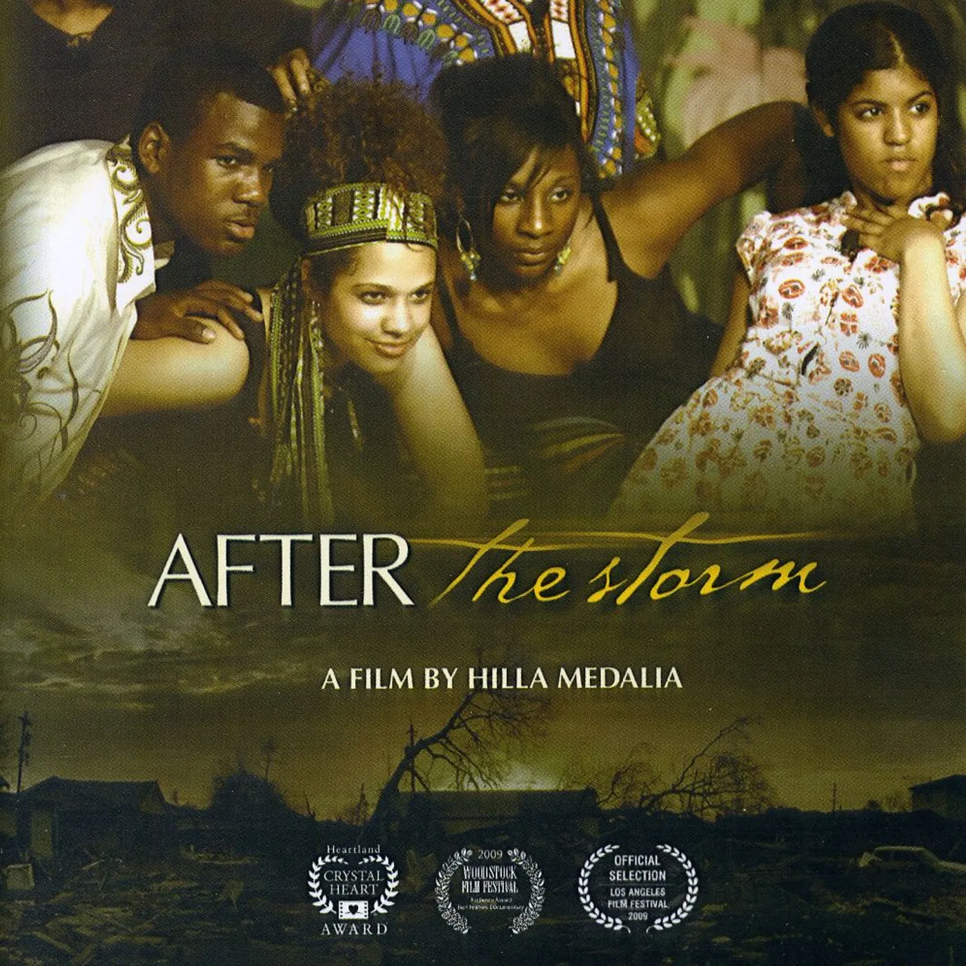 AFTER THE STORM DVD