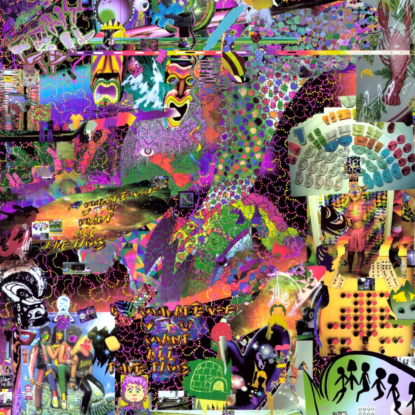 Ponytail Do Whatever You Want All The Time Vinyl Record