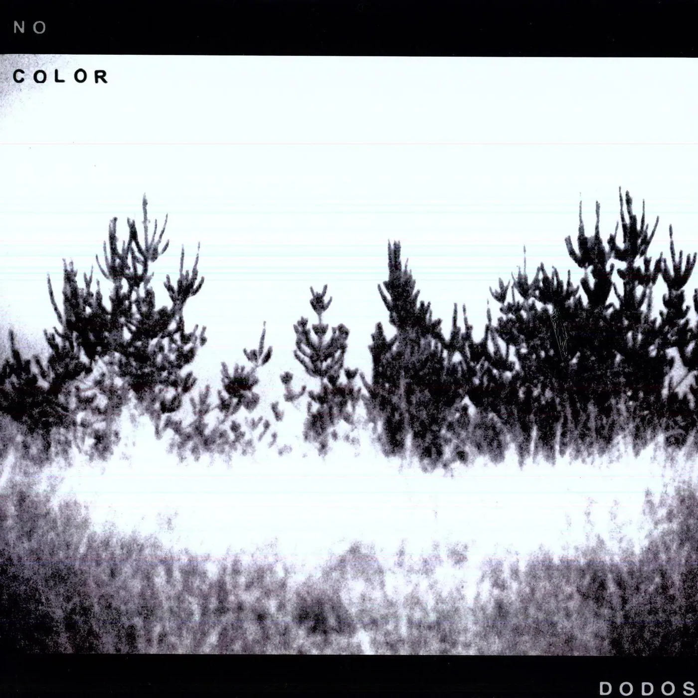 Dodos No Color Vinyl Record