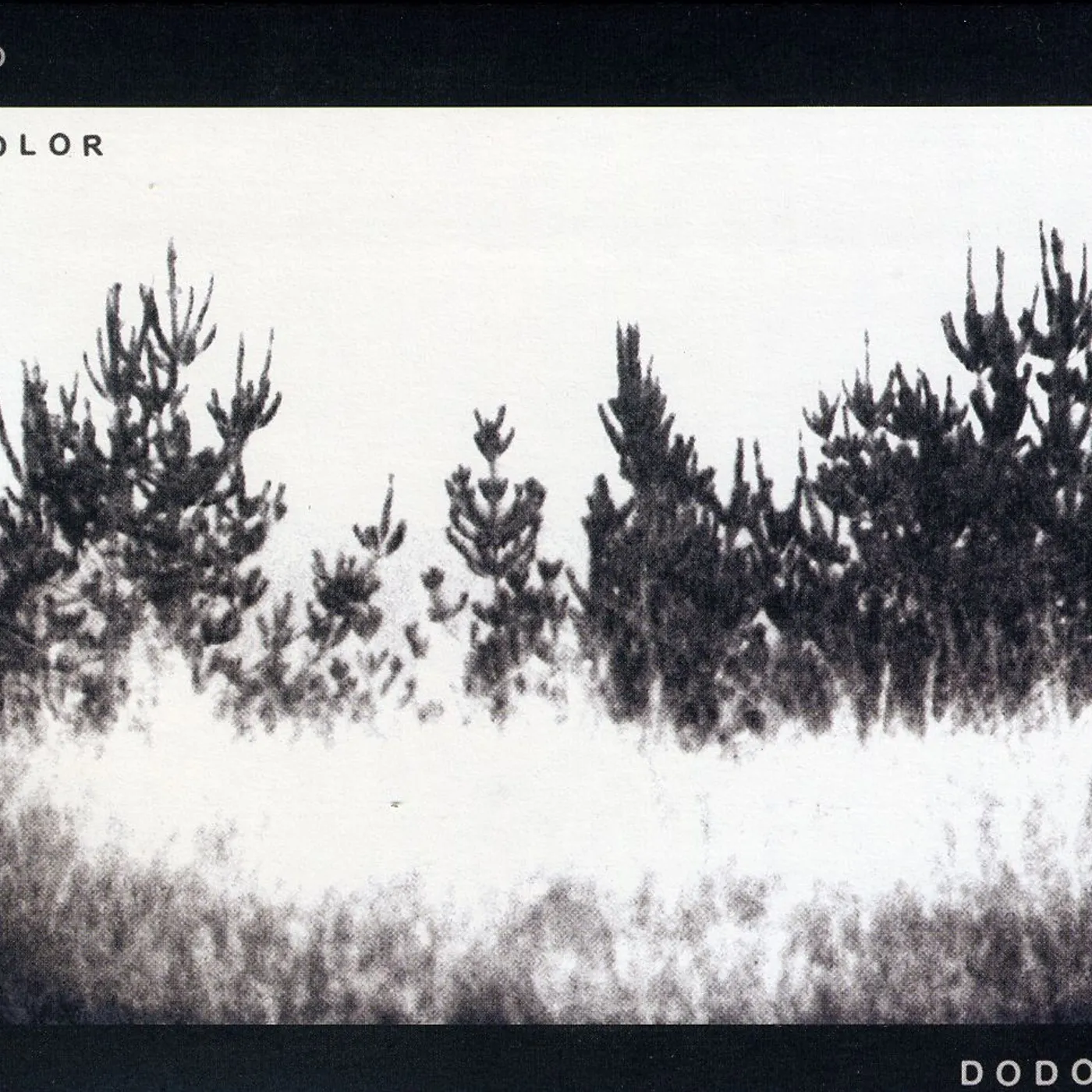 Dodos NO COLOR CD