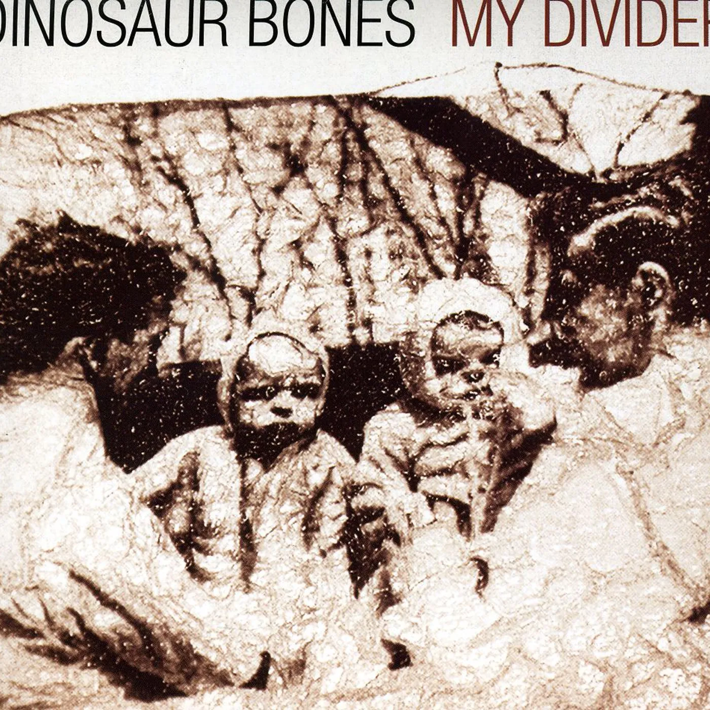 Dinosaur Bones MY DIVIDER CD