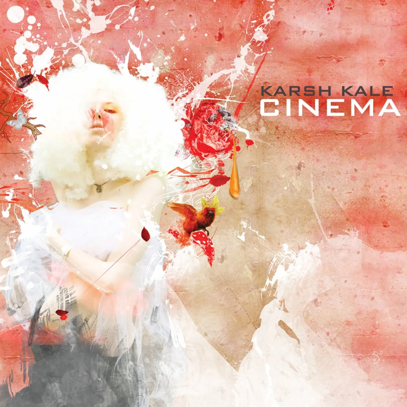 Karsh Kale CINEMA CD