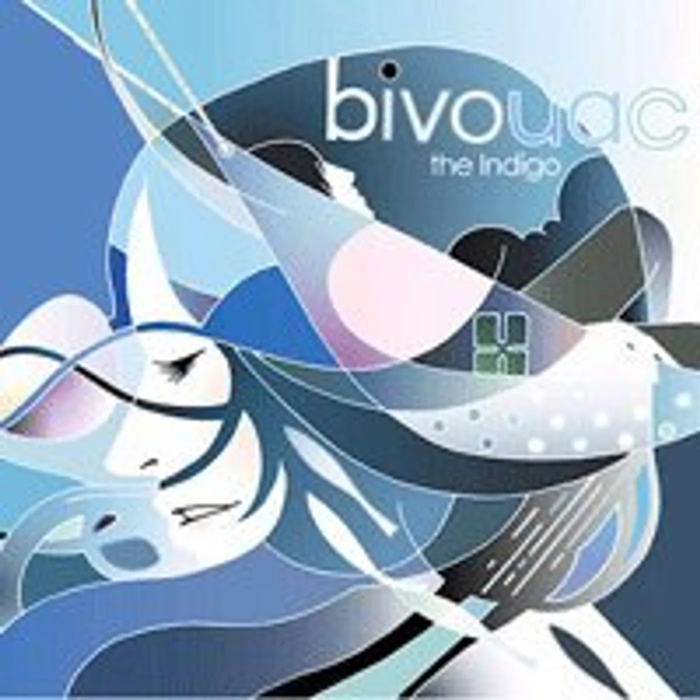 The Indigo BIVOUAC CD