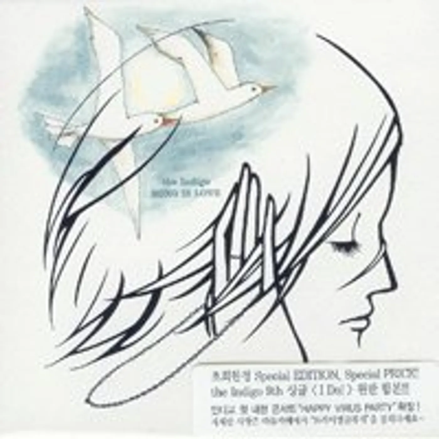 The Indigo SONG IS LOVE CD