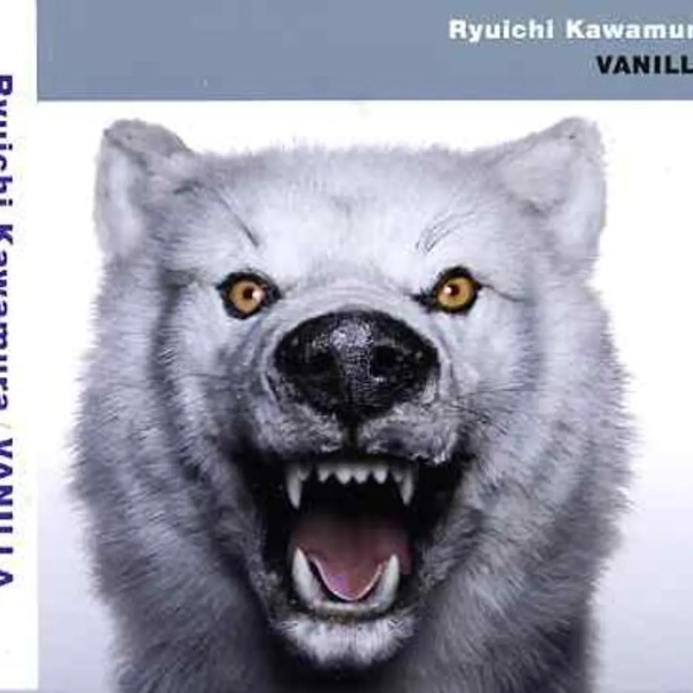 Ryuichi Kawamura VANILLA CD