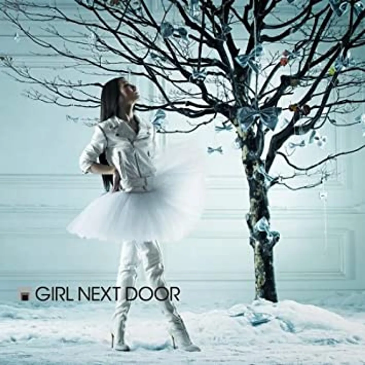The girl next door CD