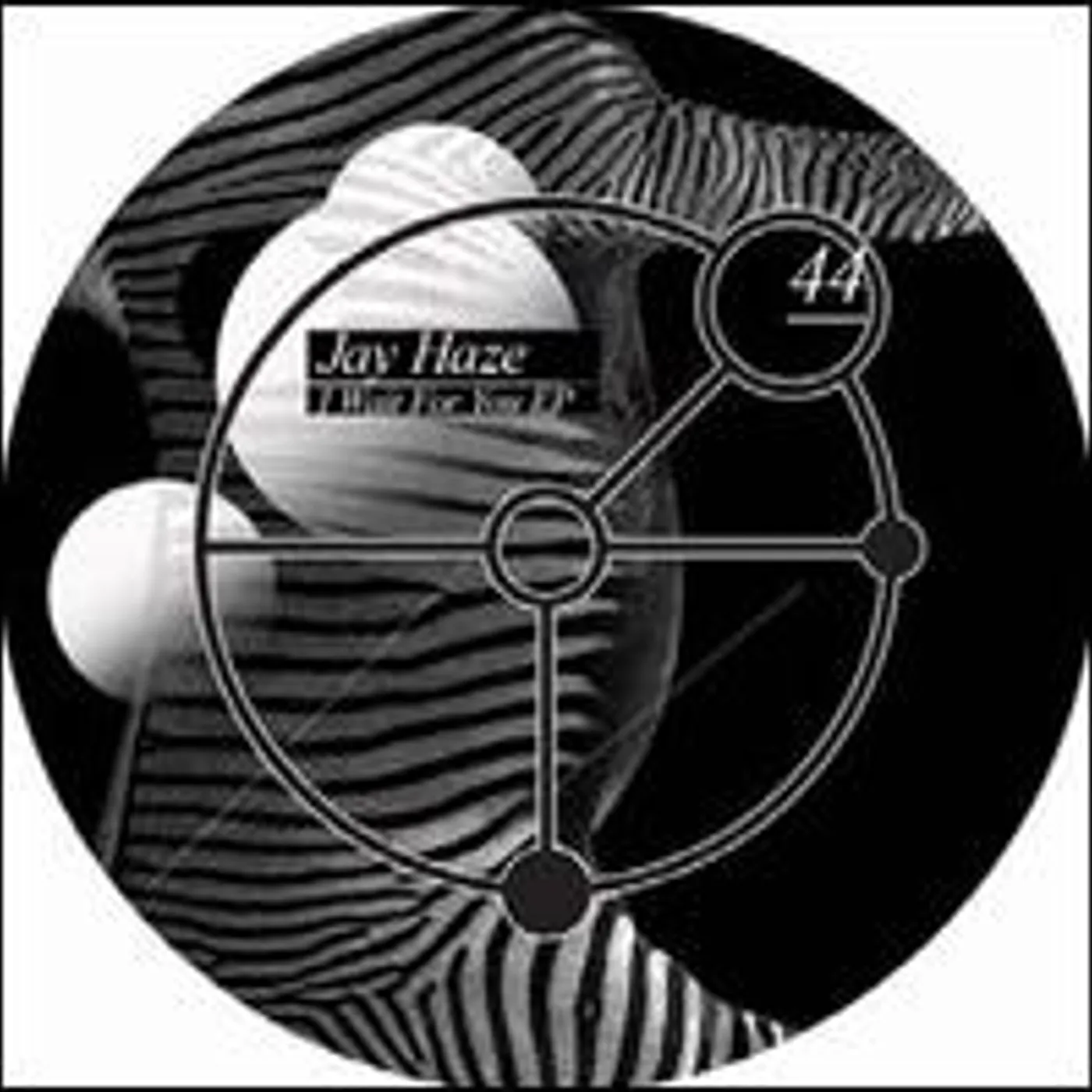 Jay Haze I Wait For You Vinyl Record