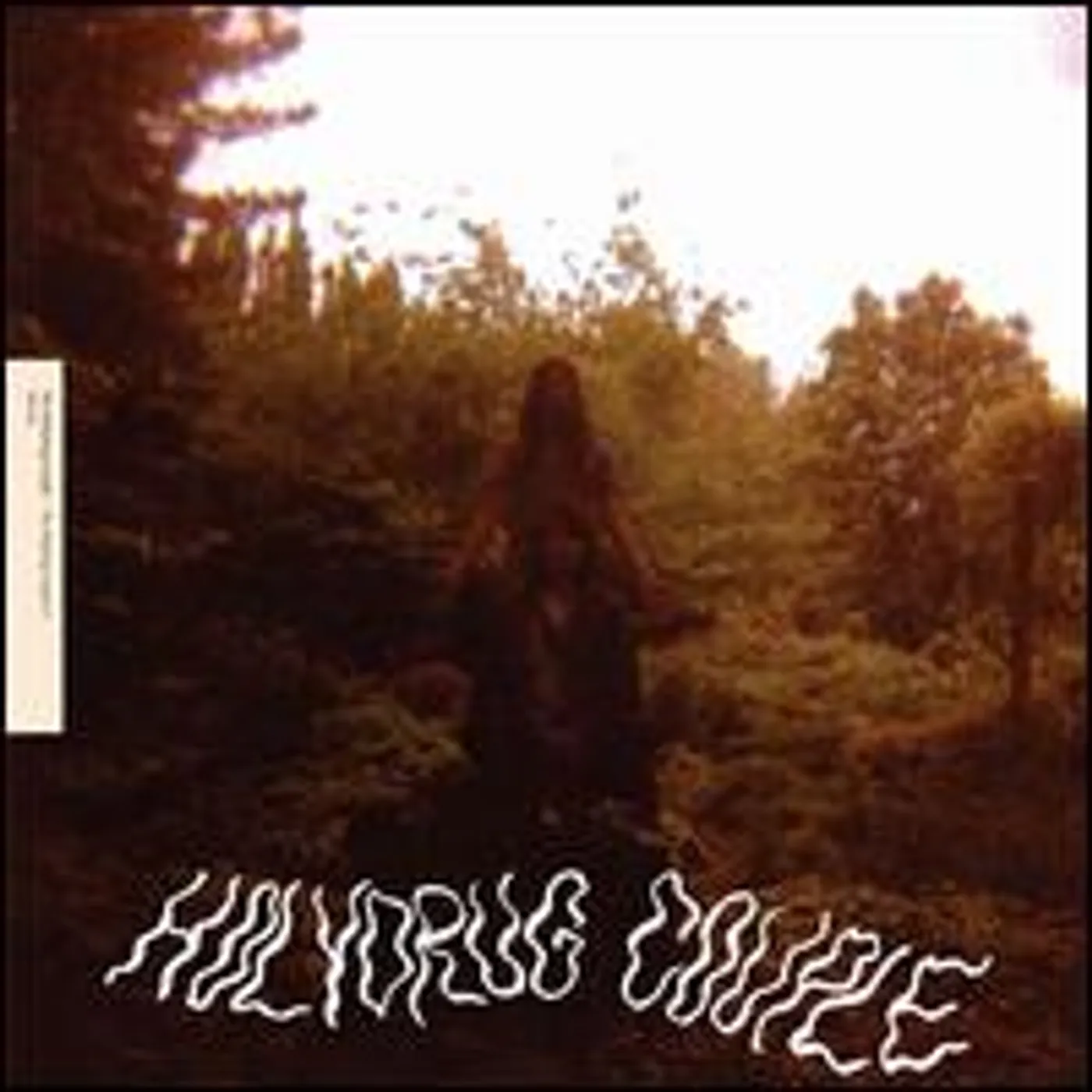 The Holydrug Couple Ancient Land Vinyl Record