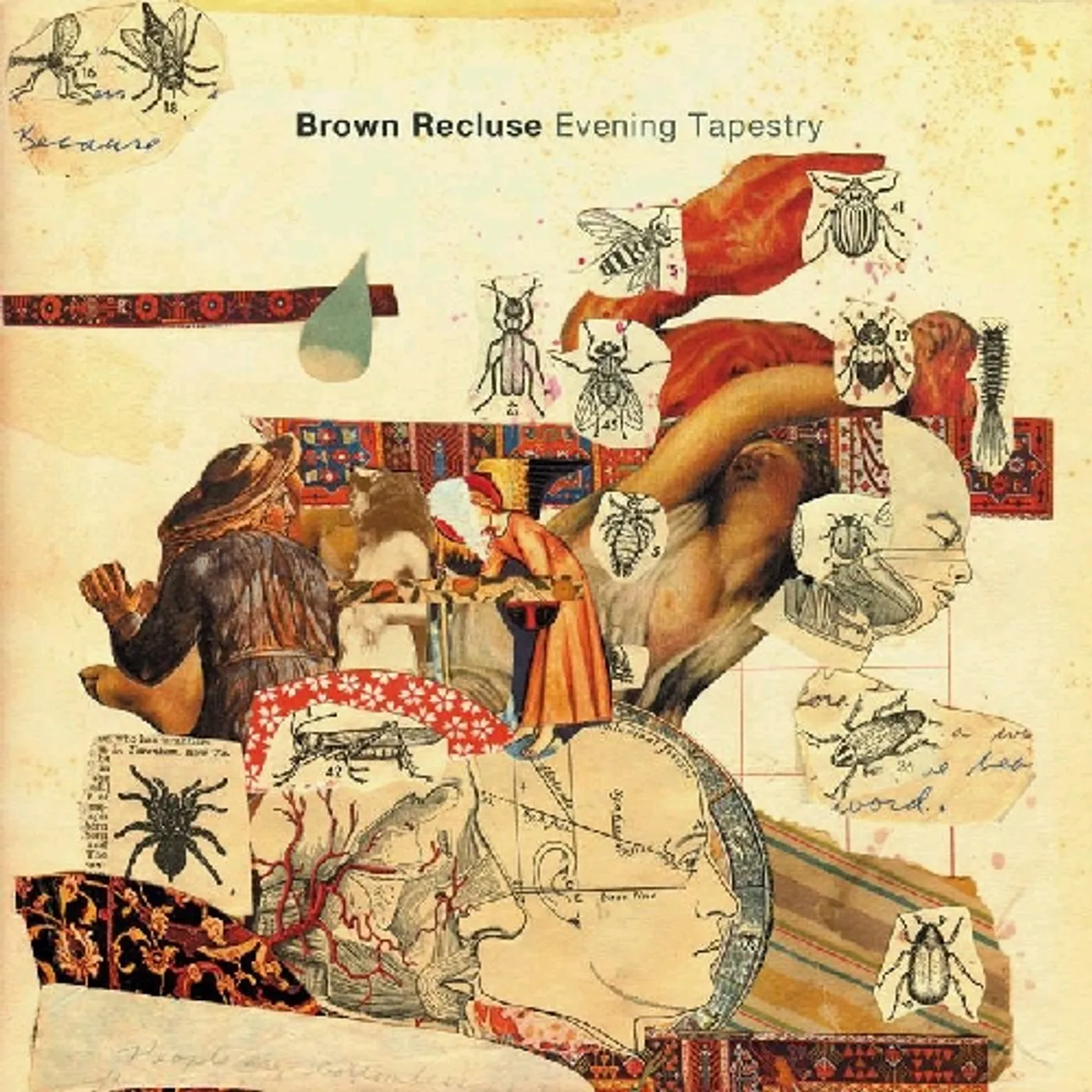 Brown Recluse Evening Tapestry Vinyl Record