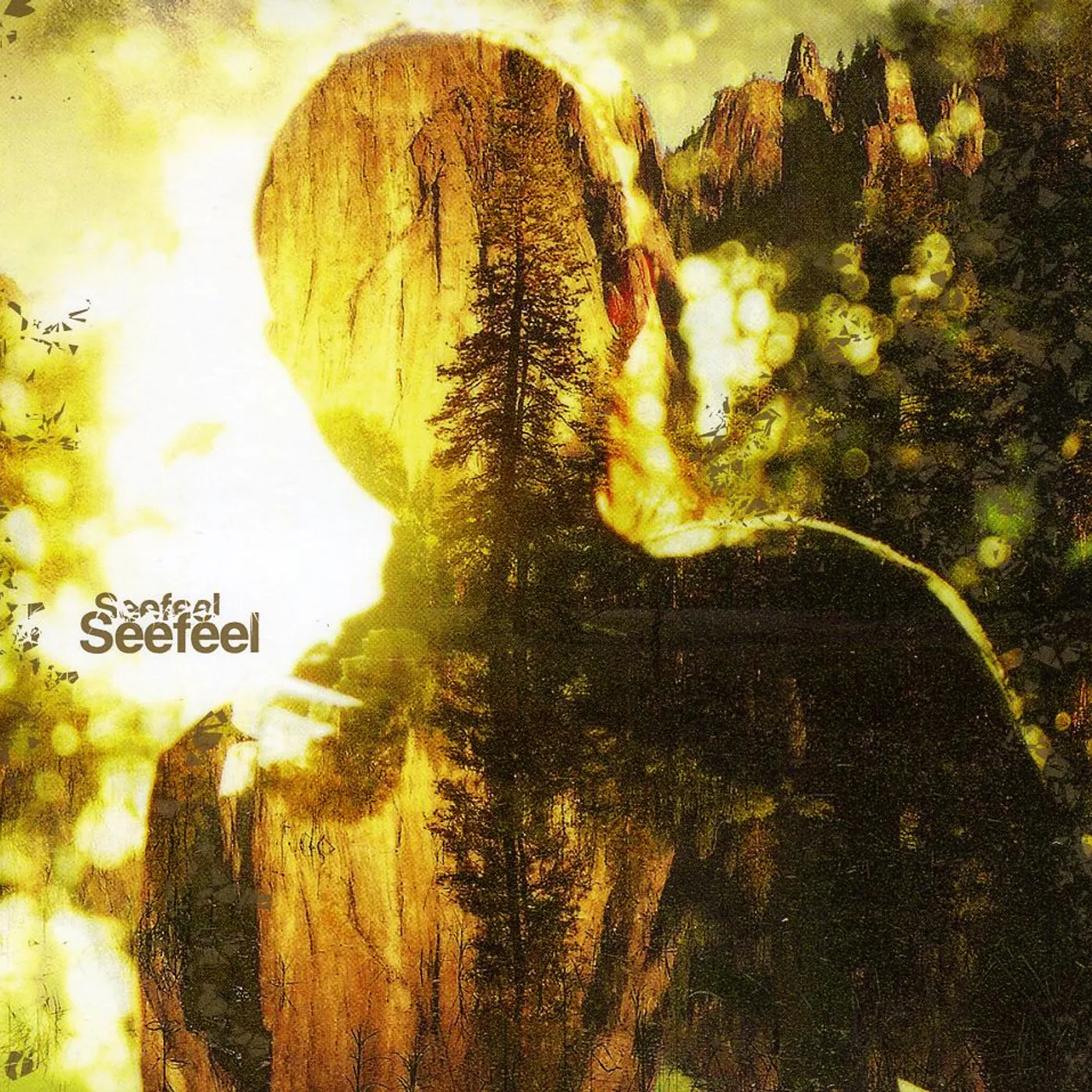 SEEFEEL CD
