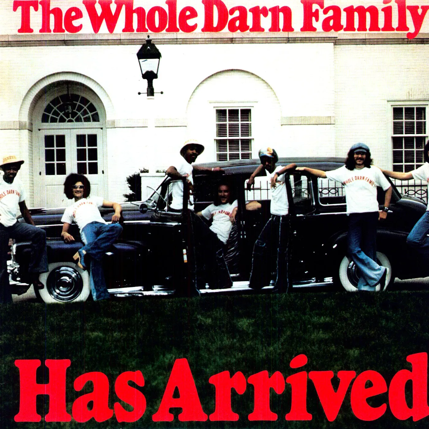 The Whole Darn Family Has Arrived Vinyl Record