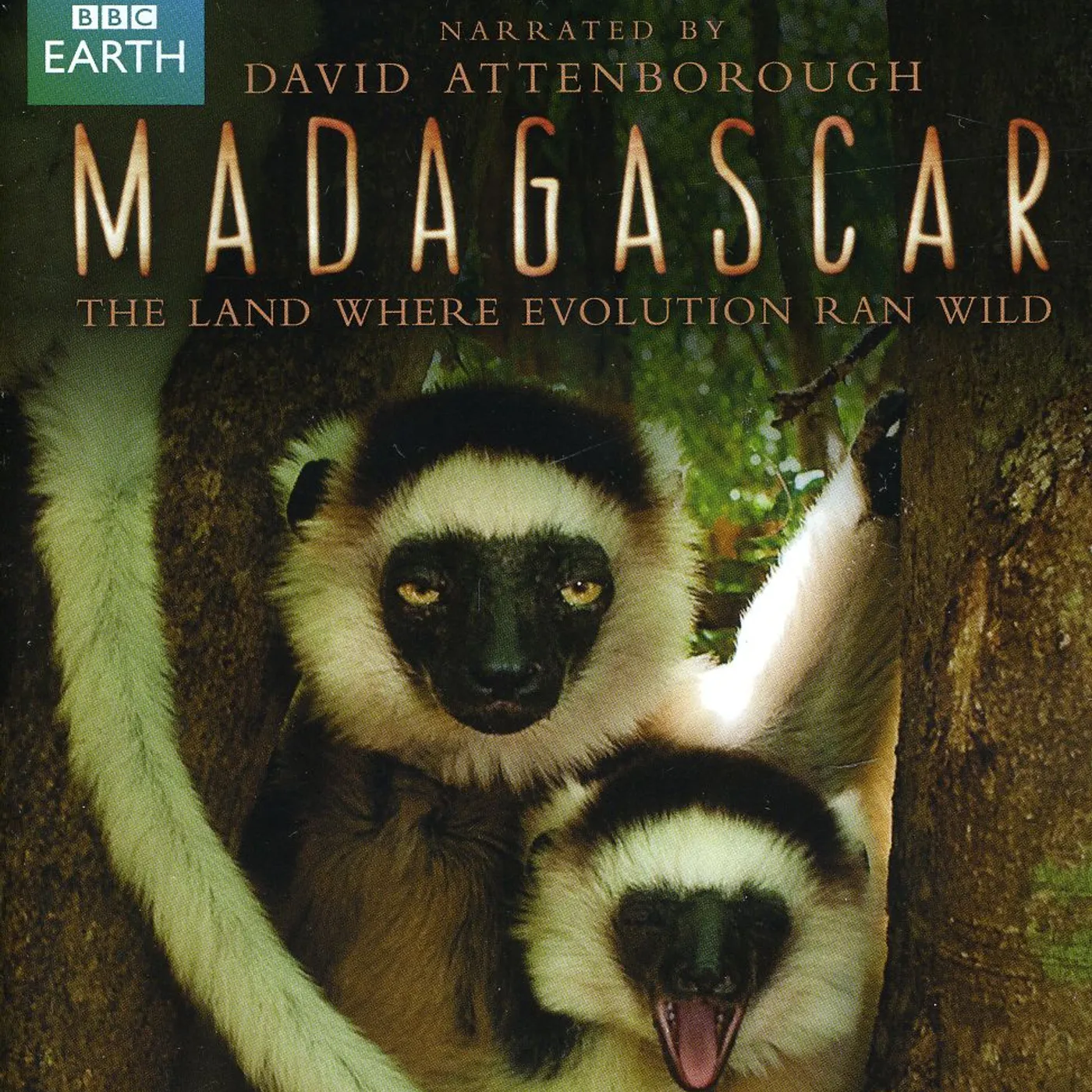 MADAGASCAR (2011) Blu-ray