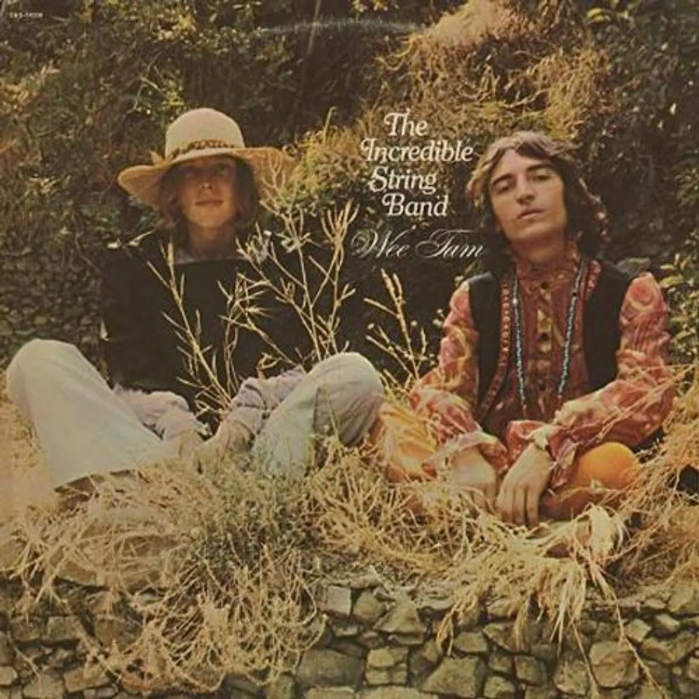 Incredible String Band Wee Tam Vinyl Record