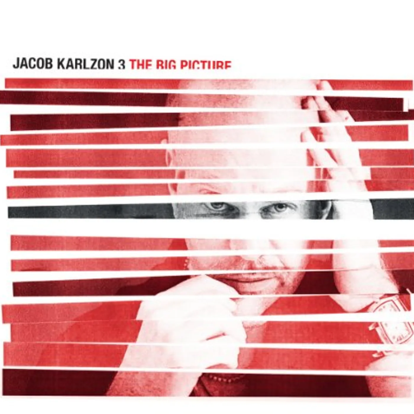 Jacob Karlzon BIG PICTURE CD