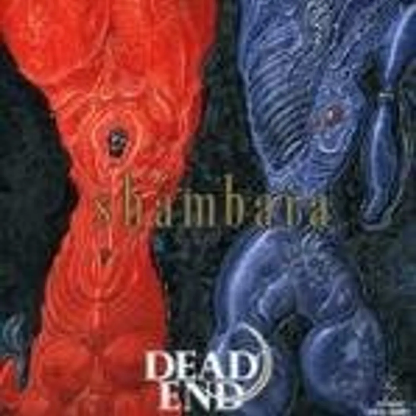 DEAD END SHAMBARA Vinyl Record
