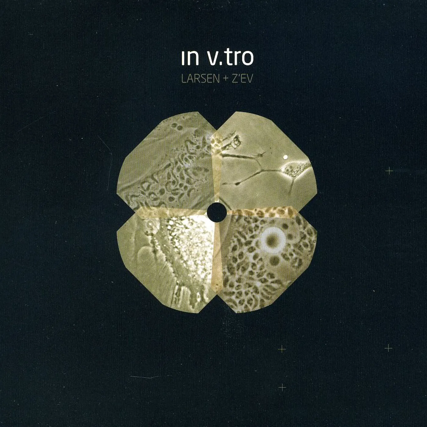 Larsen & Z'ev IN V TRO CD