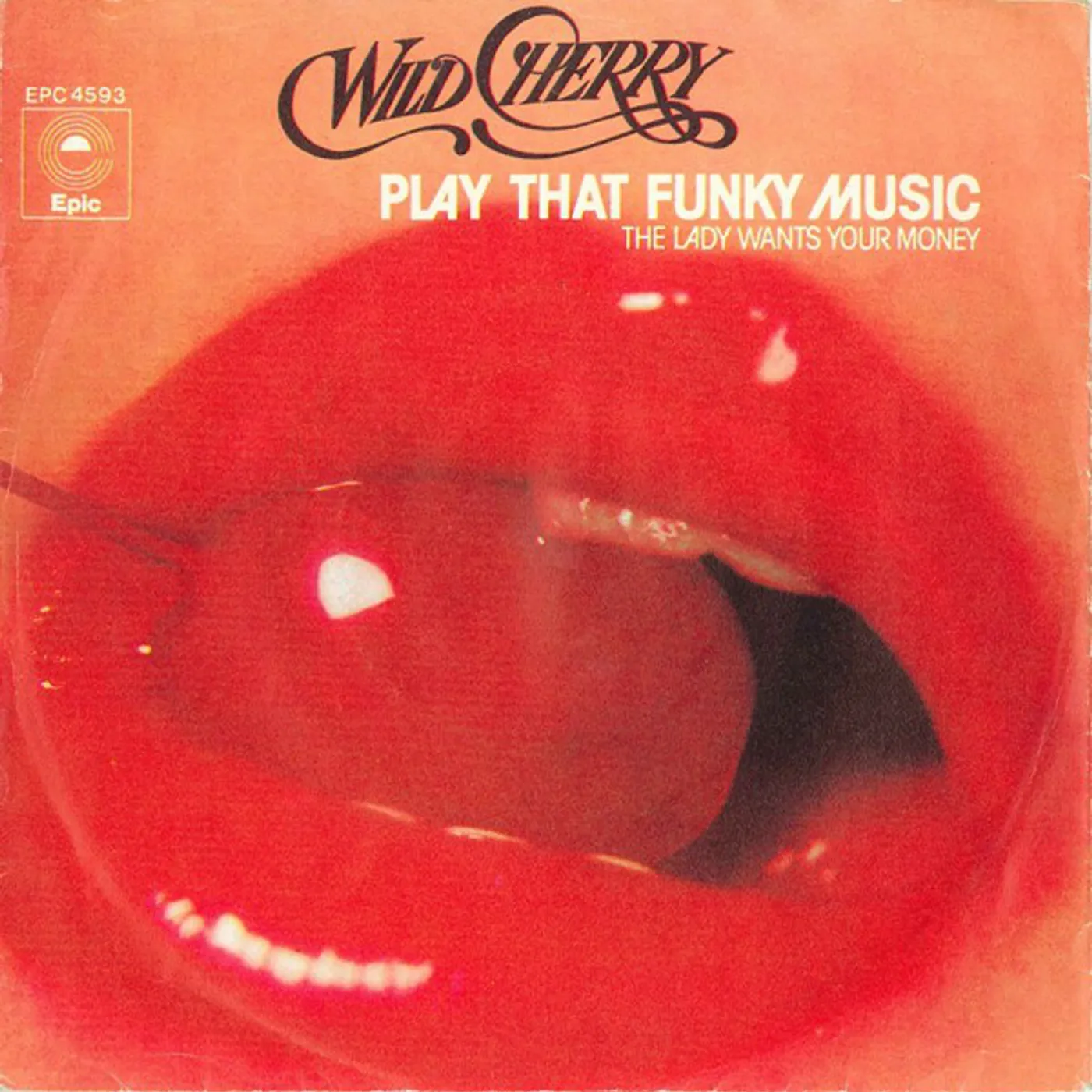 Wild Cherry PLAY THAT FUNKY MUSIC Vinyl Record