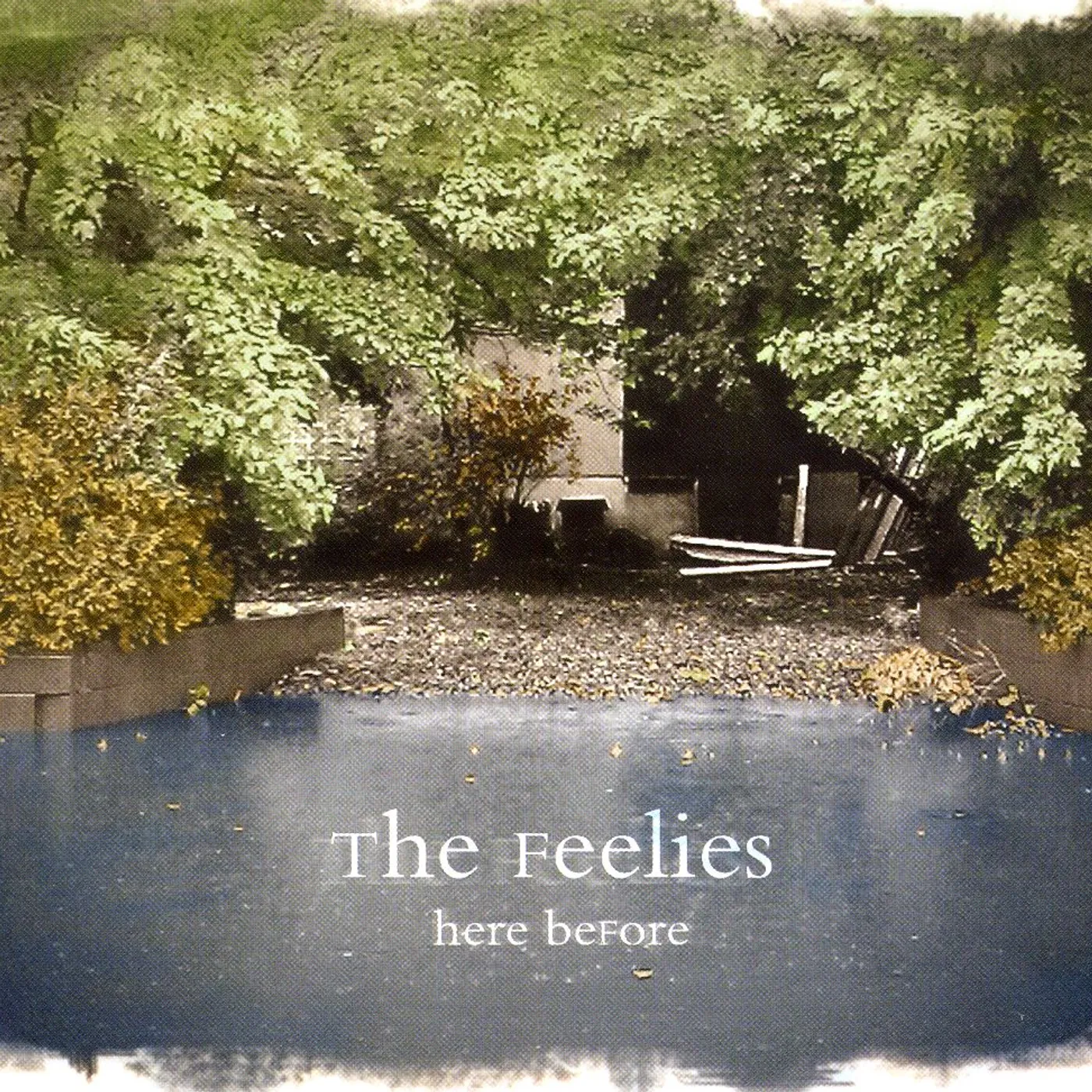 The Feelies HERE BEFORE CD