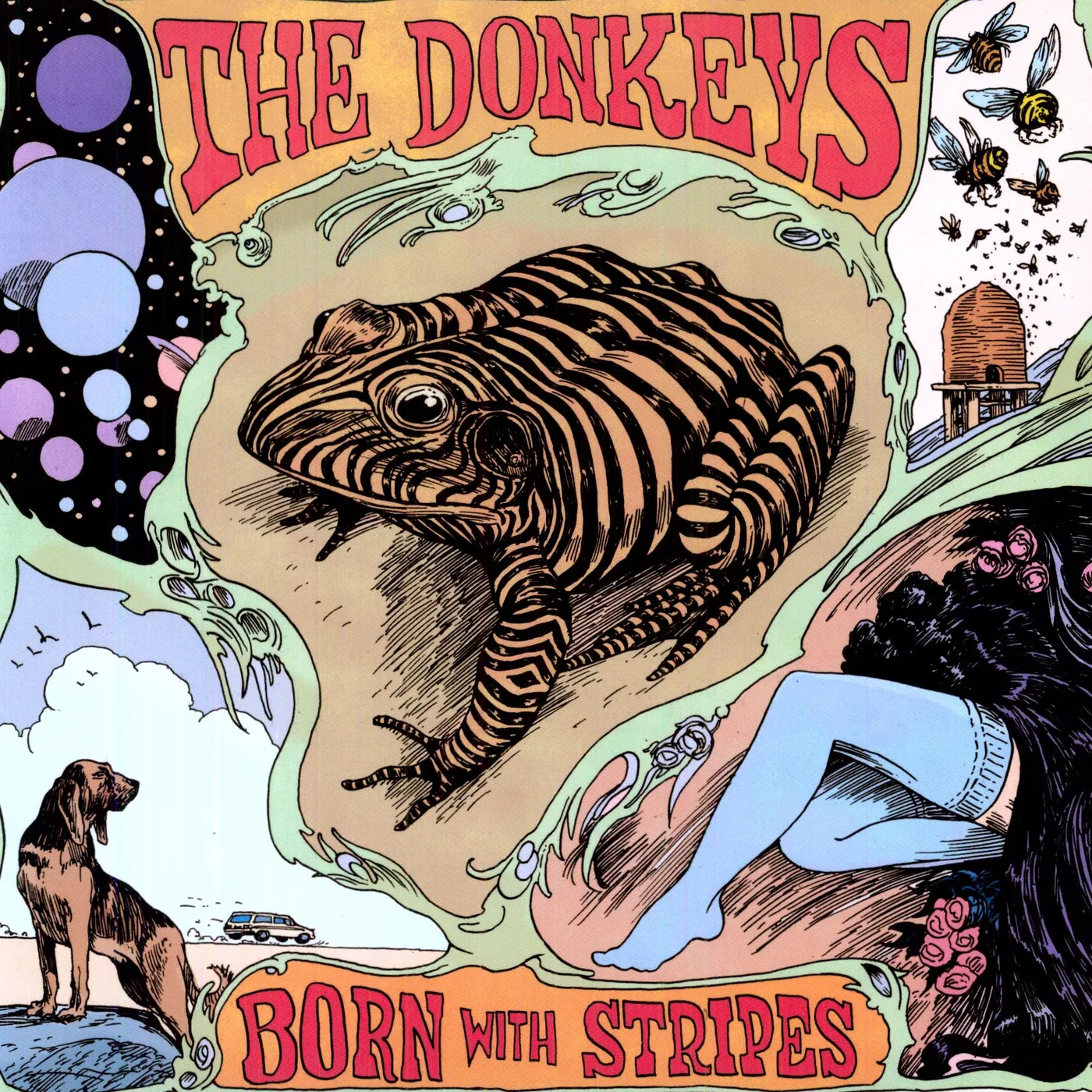 The Donkeys Born With Stripes Vinyl Record
