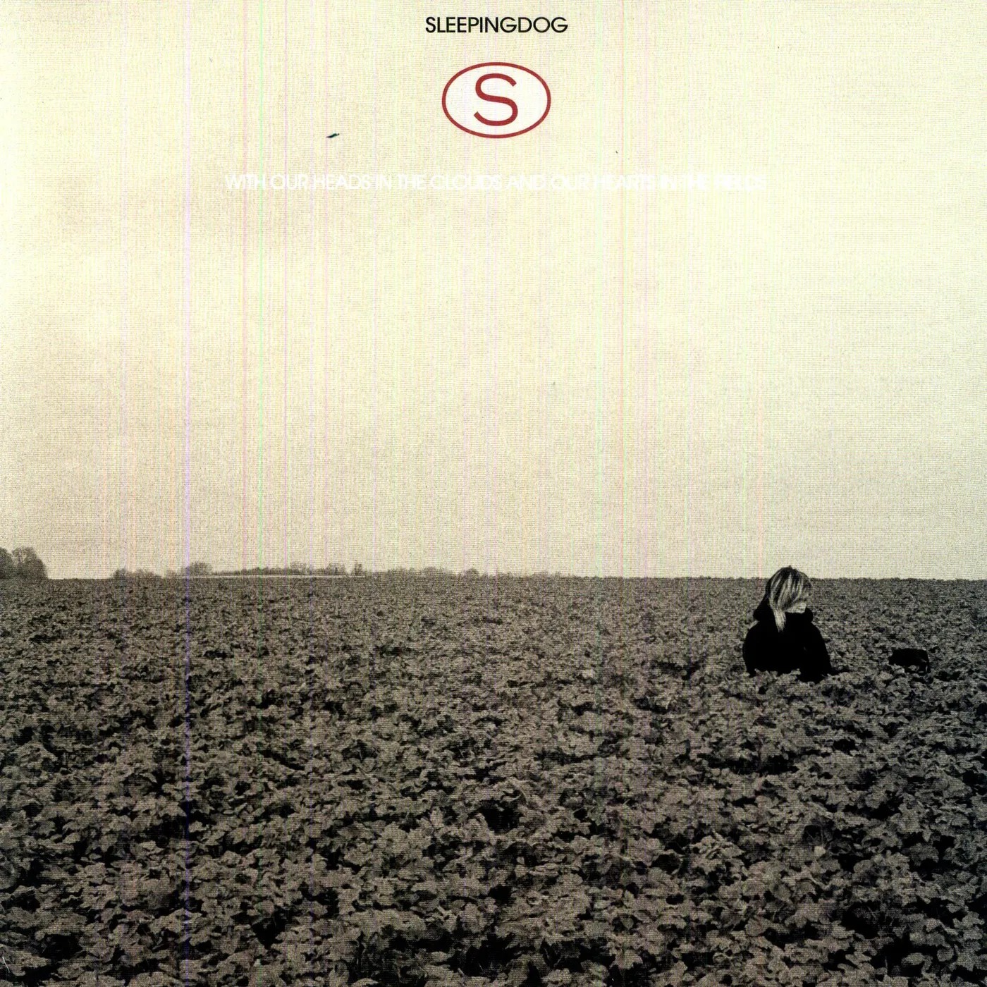 Sleepingdog WITH OUR HEADS IN CLOUDS & OUR HEARTS IN FIELDS Vinyl Record