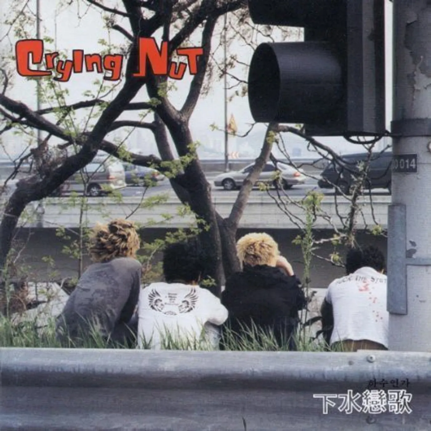 CRYING NUT HAYOOYEONGA CD