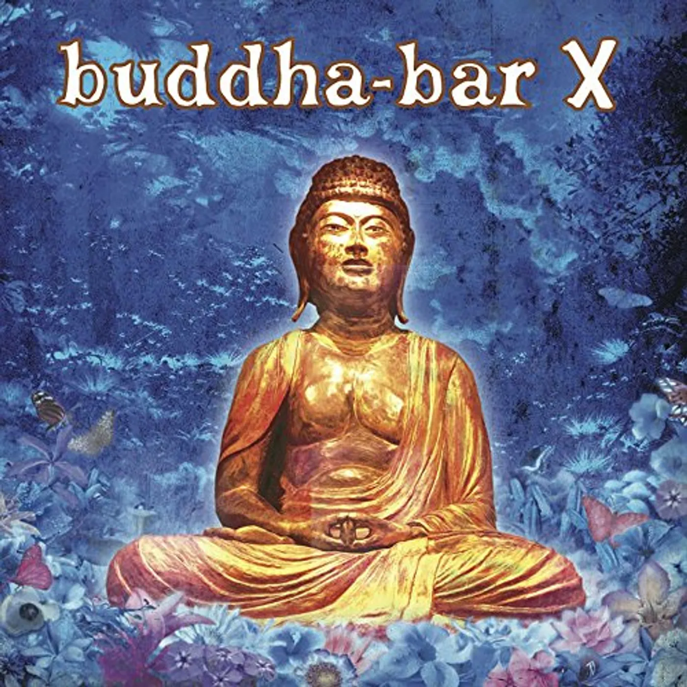 Various Artists  BUDDHA BAR X / VARIOUS CD