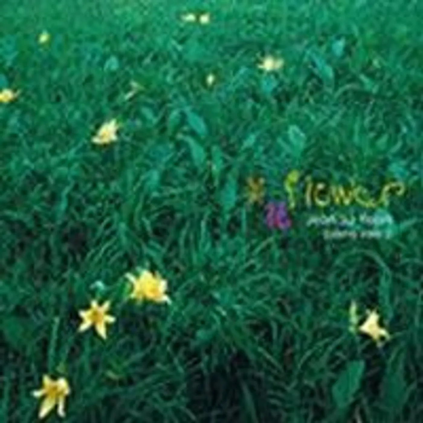 Jeon Su Yeon FLOWER CD