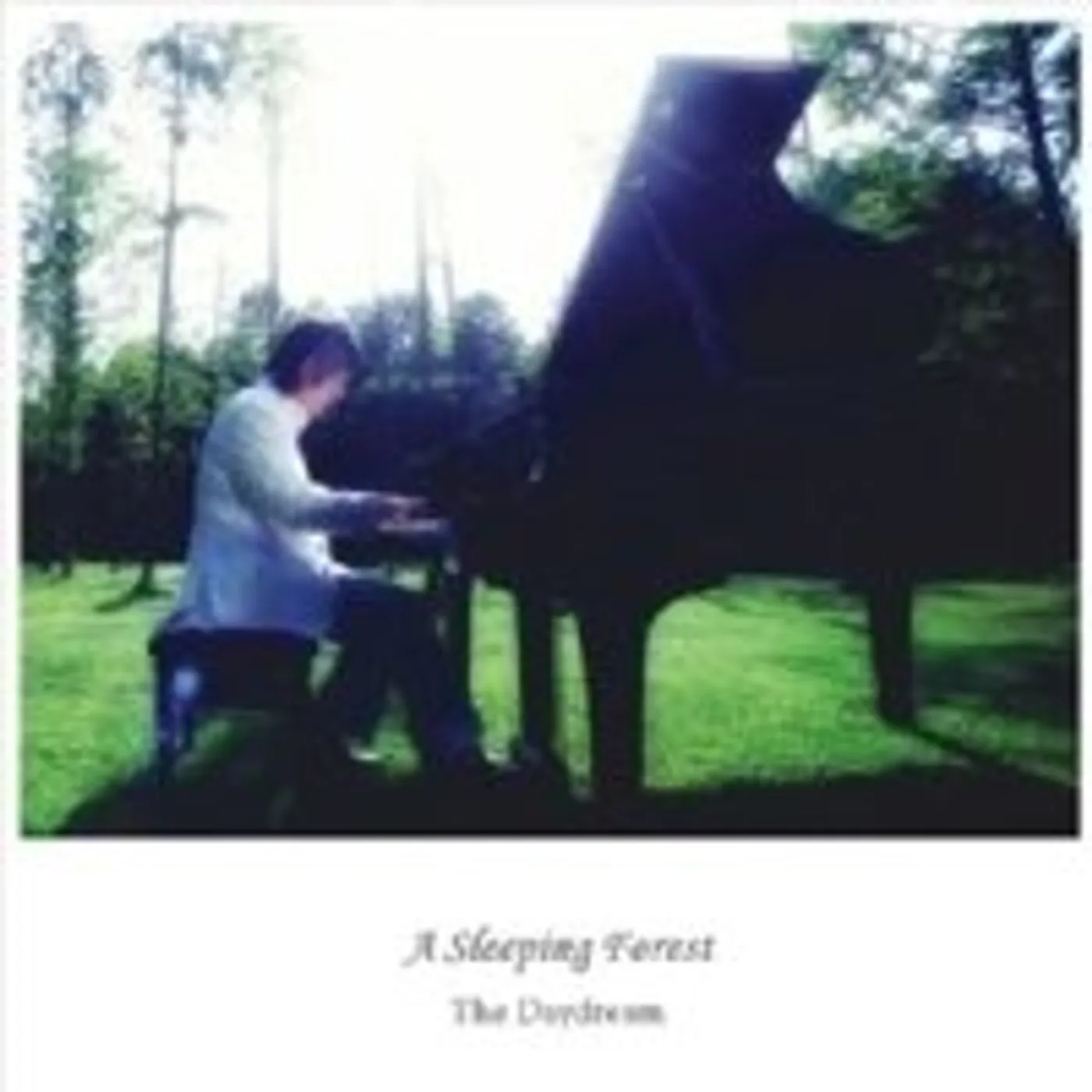Daydream SLEEPING FOREST CD