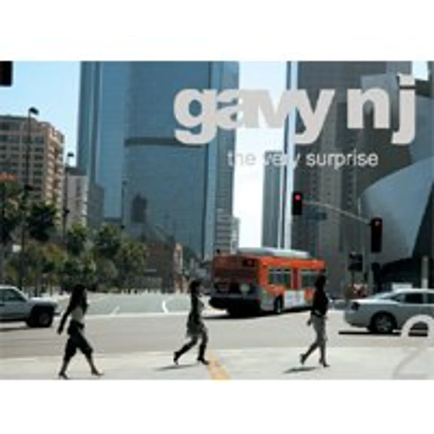 Gavy NJ VERY SURPRISE CD