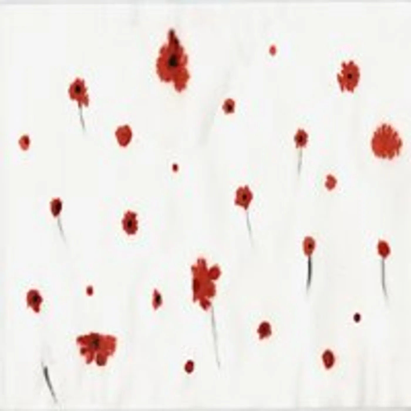 Lucid Fall NIGHT OF THE BORDER CD