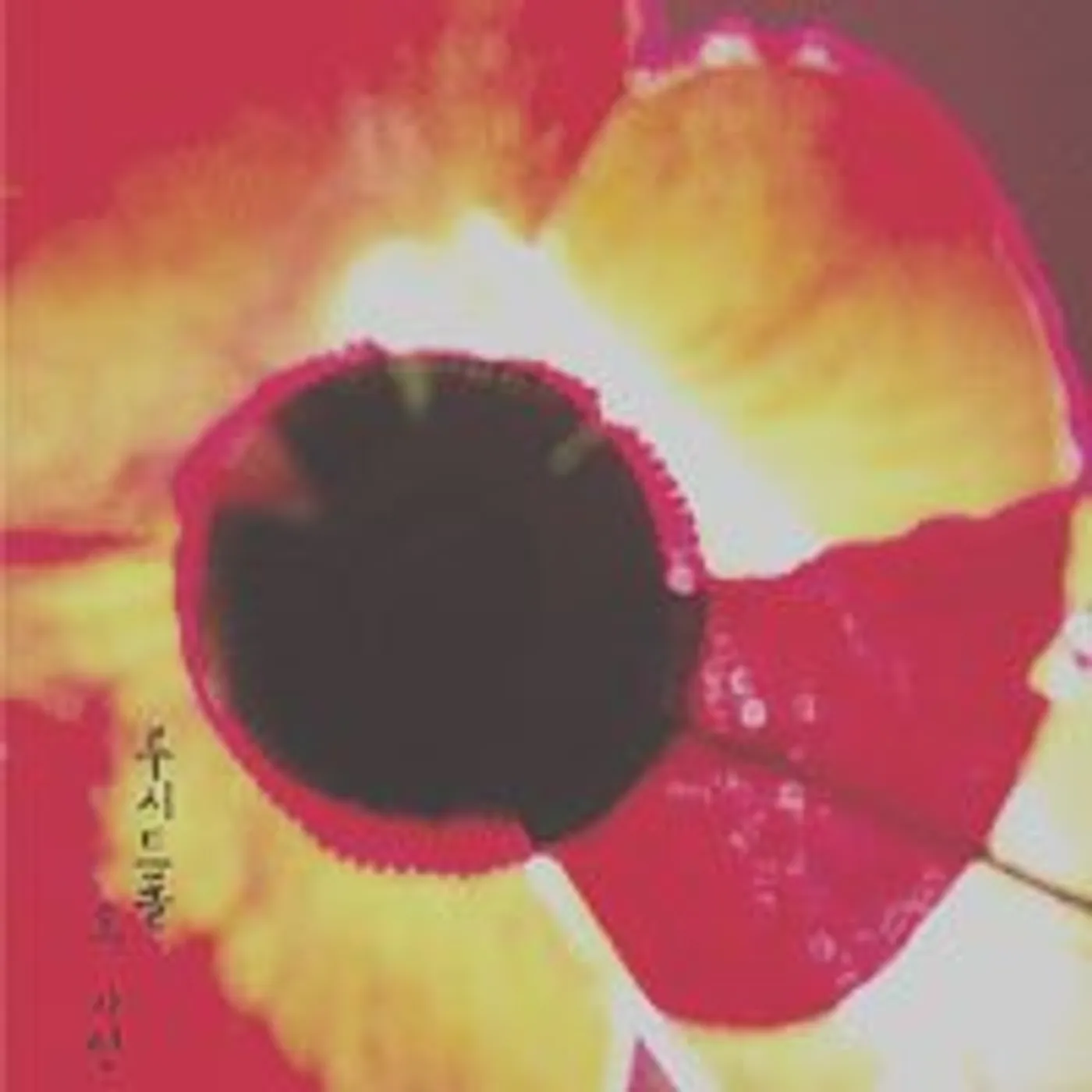 Lucid Fall OH LOVE CD