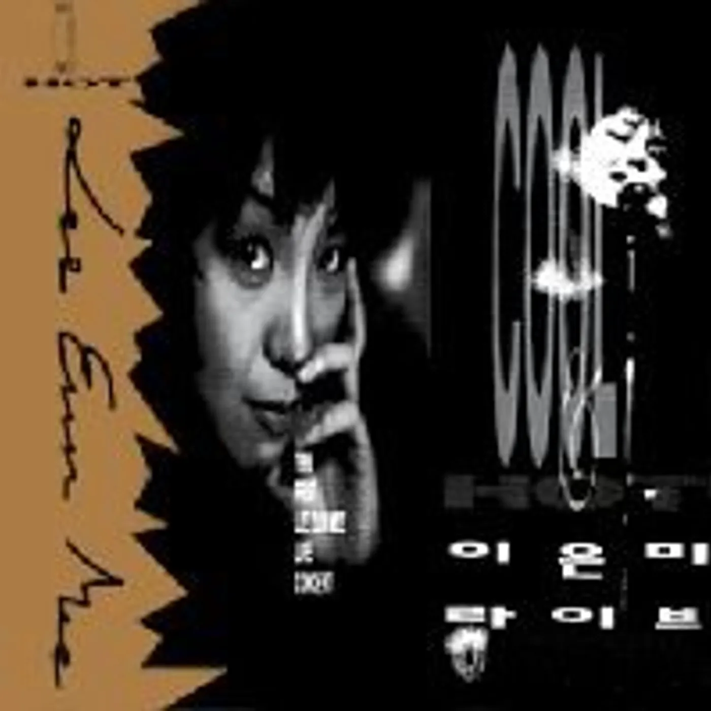 Lee Eun Mi LIVE CD