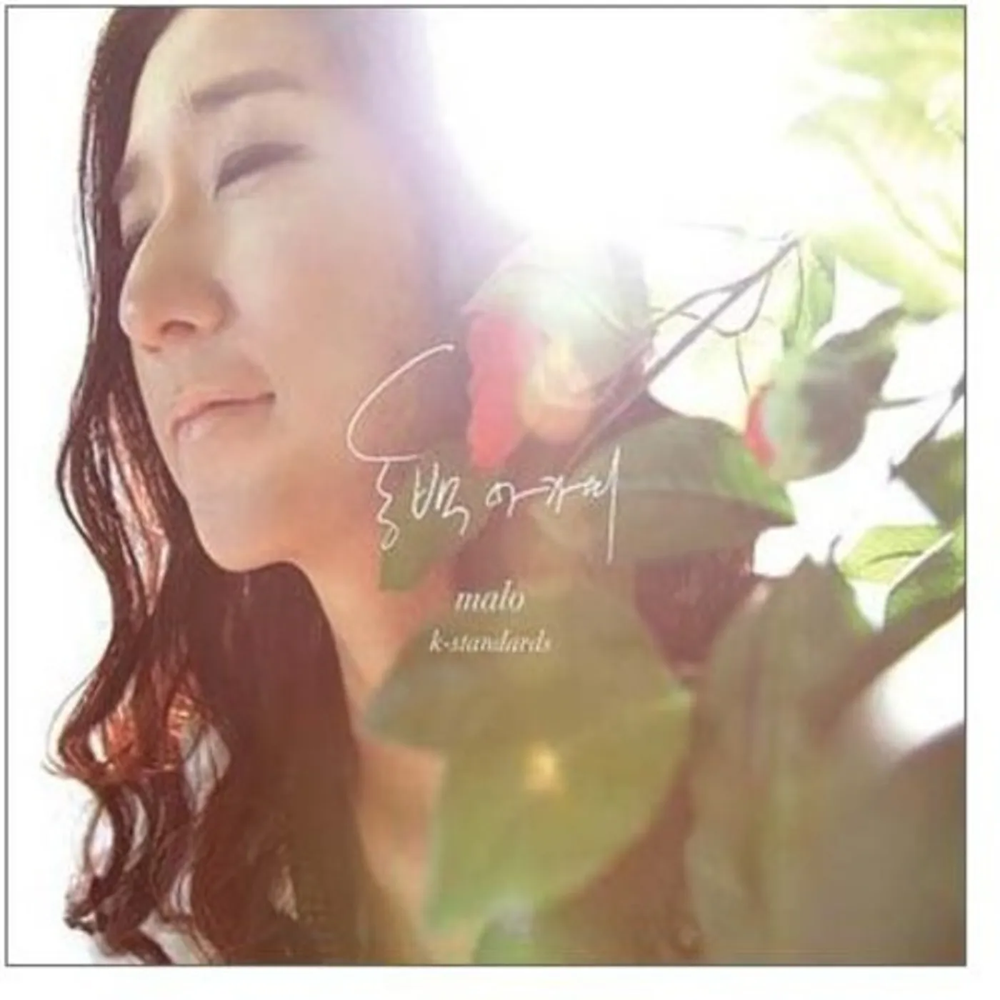Malo 1143112 K-STANDARD CD