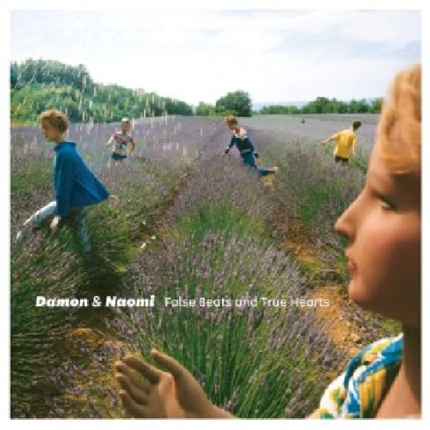 Damon & Naomi FALSE BEATS AND TRUE HEARTS CD