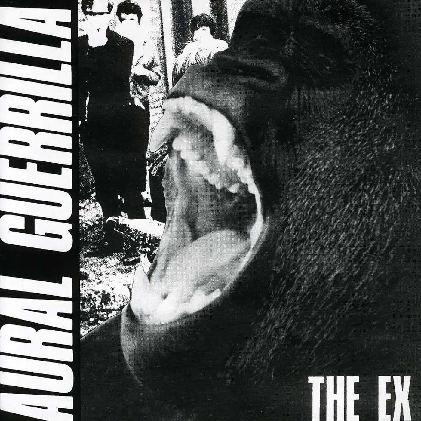 Ex AURAL GUERILLA CD