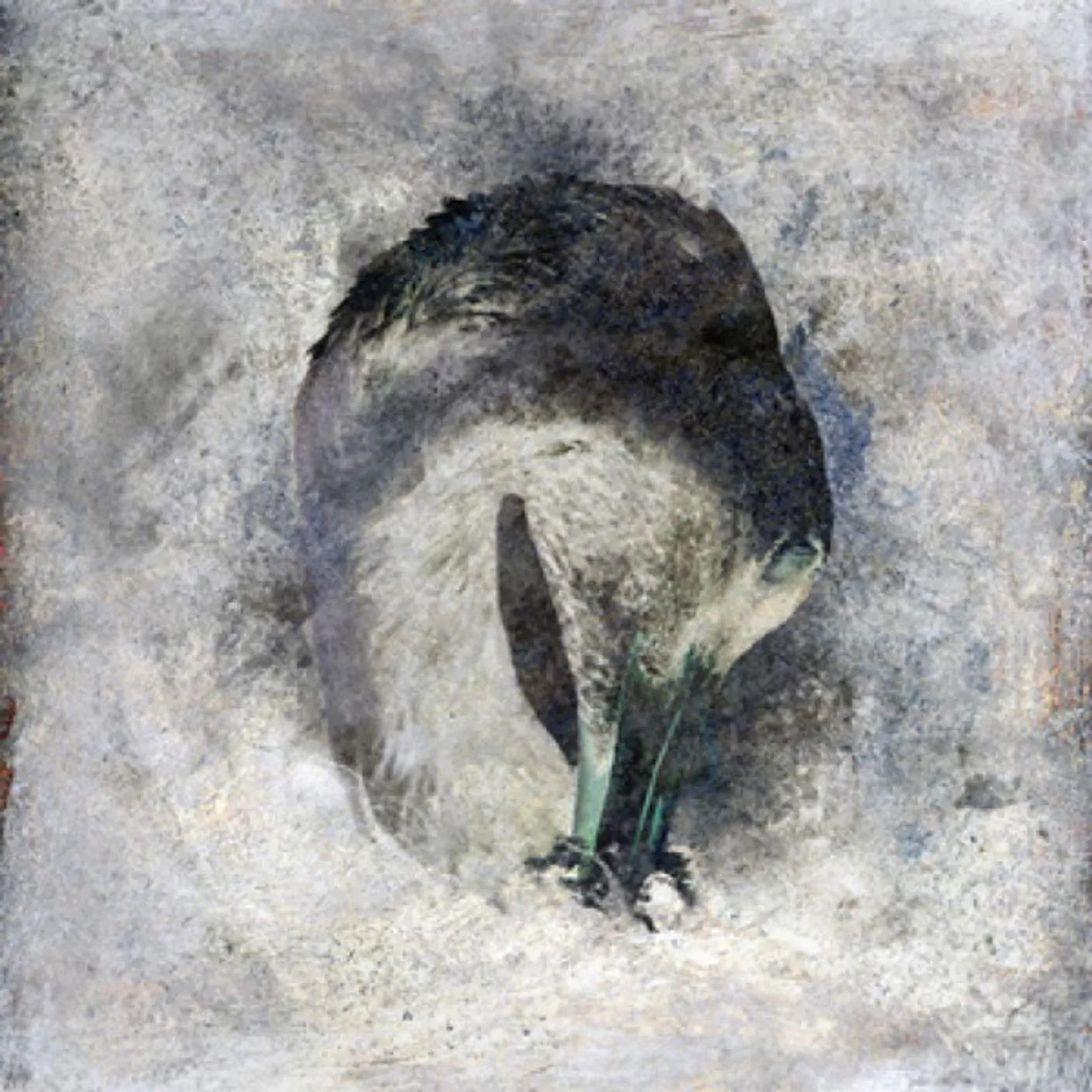Suma ASHES (180G)(2LP) (Vinyl)