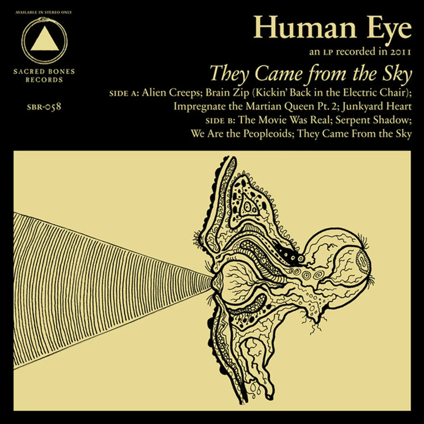 Human Eye They Came From the Sky Vinyl Record