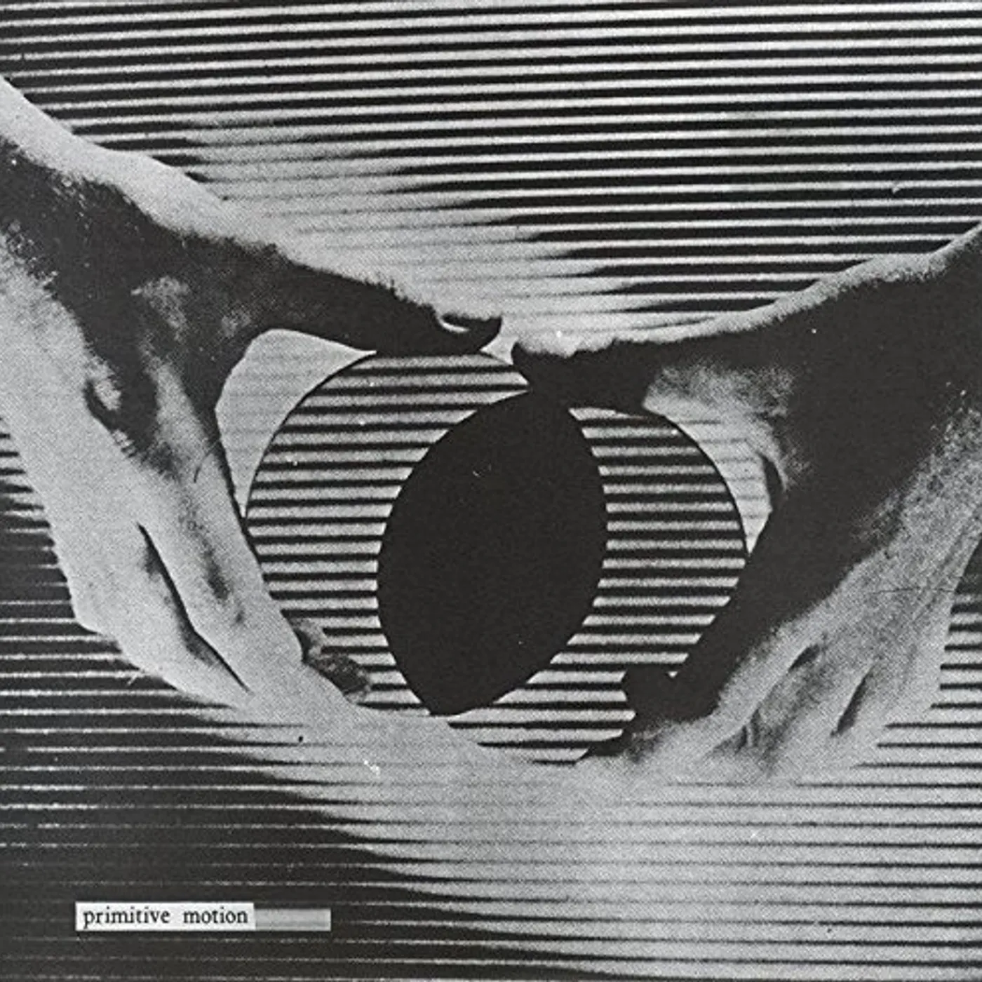 Primitive Motion CERTAIN MATERIALS Vinyl Record