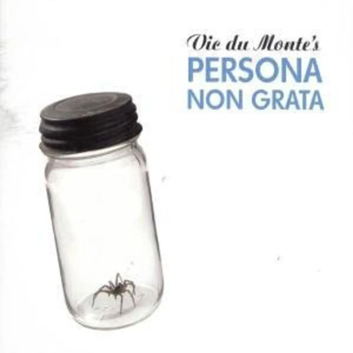 Vic du Monte's idiot prayer PERSONA NON GRATA Vinyl Record