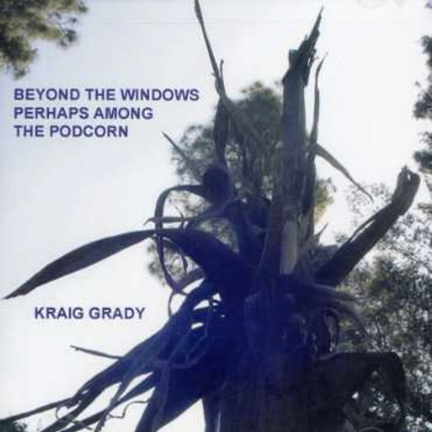 Kraig Grady BEYOND THE WINDOWS PERHAPS AMONG TH CD