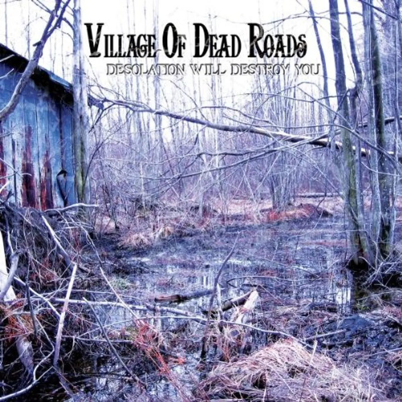 Village of Dead Roads DESOLATION WILL DESTROY YOU CD