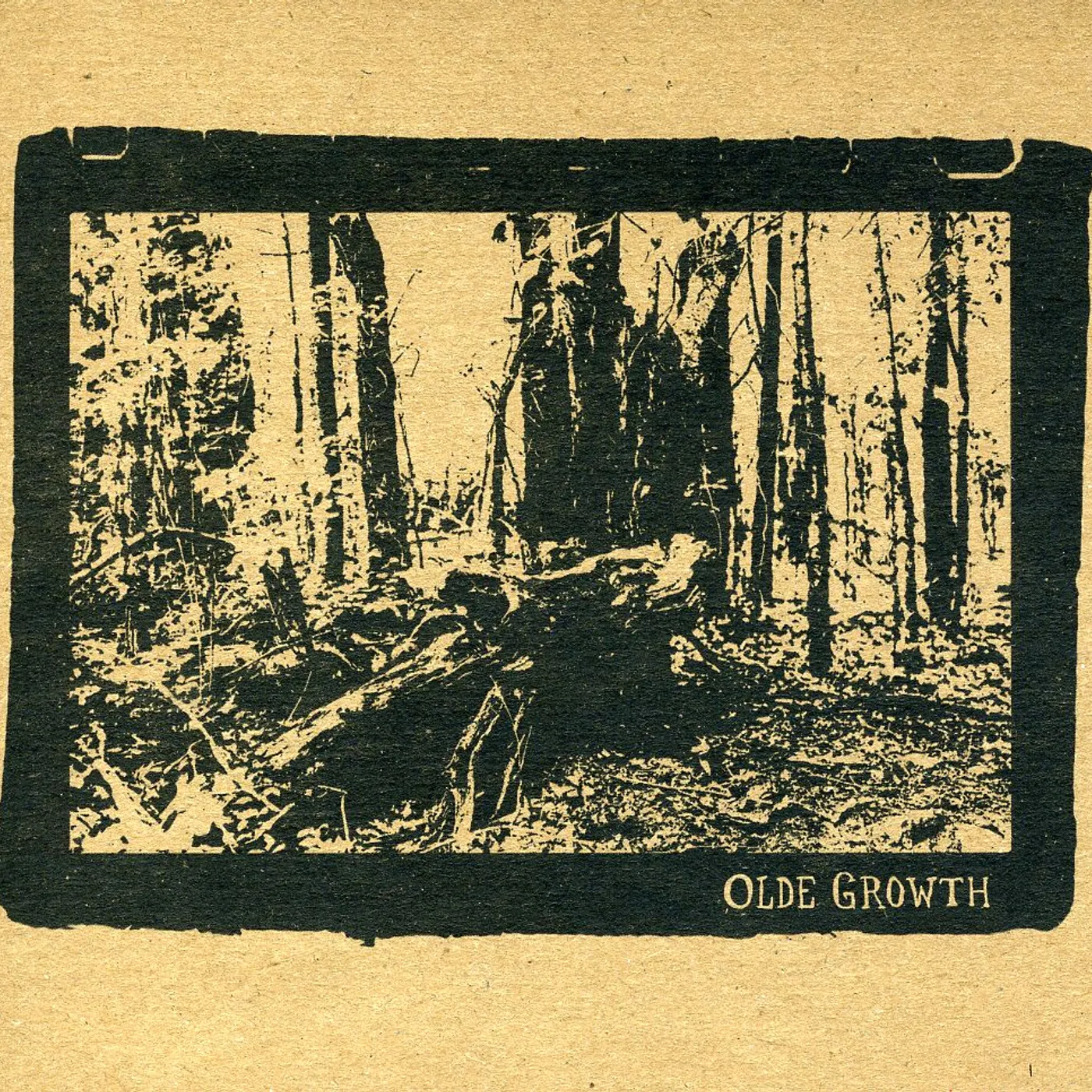 Olde Growth Brand Page