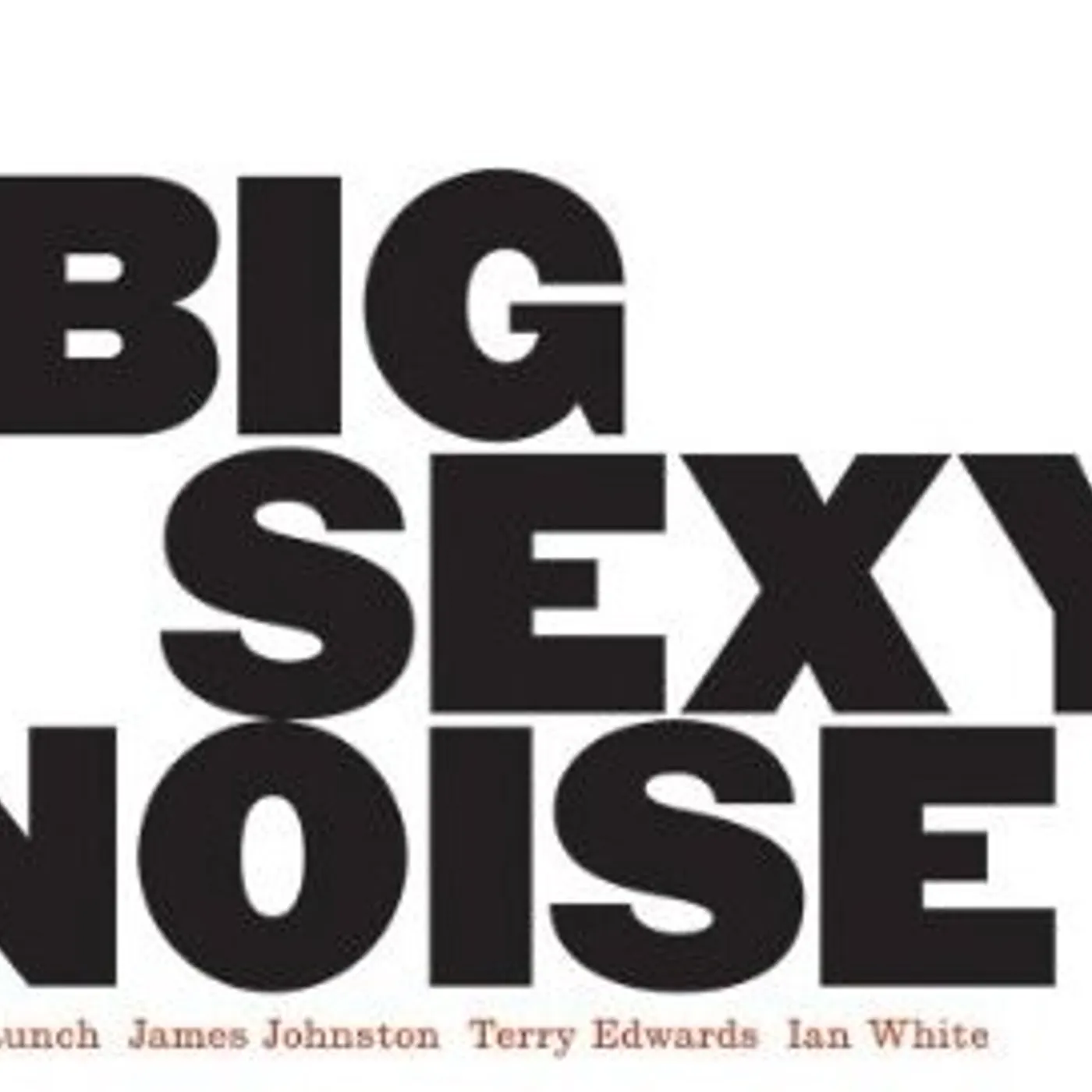 BIG SEXY NOISE Vinyl Record