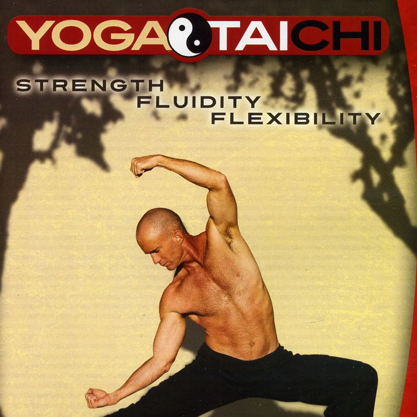 Scott Cole YOGA TAI CHI DVD