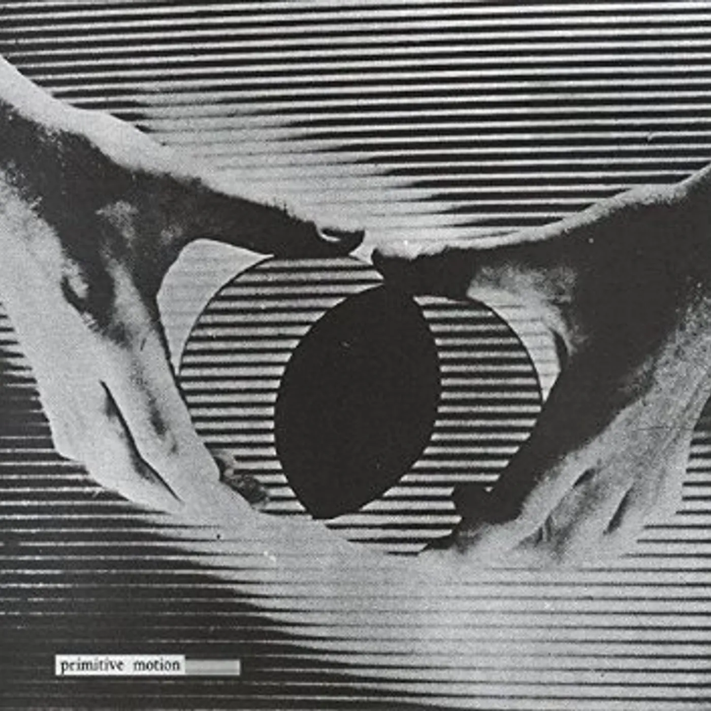 Primitive Motion CERTAIN MATERIALS (EP) Vinyl Record