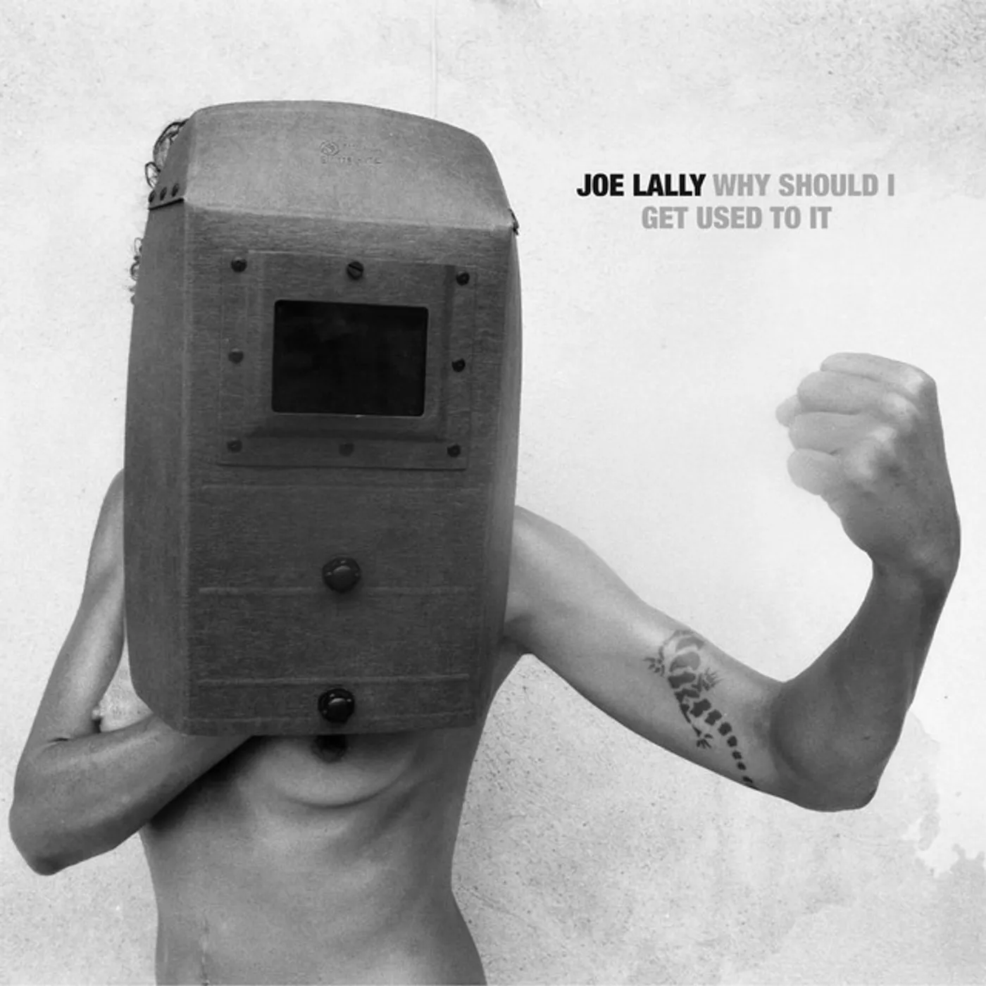 Joe Lally Why Should I Get Used to It Vinyl Record
