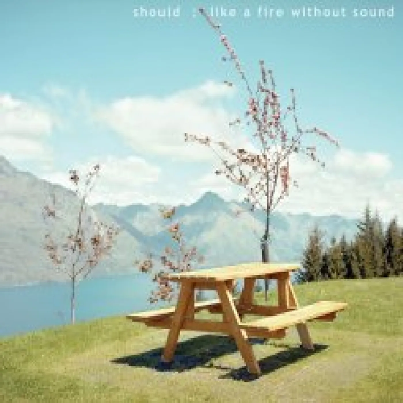 Should LIKE A FIRE WITHOUT SOUND CD