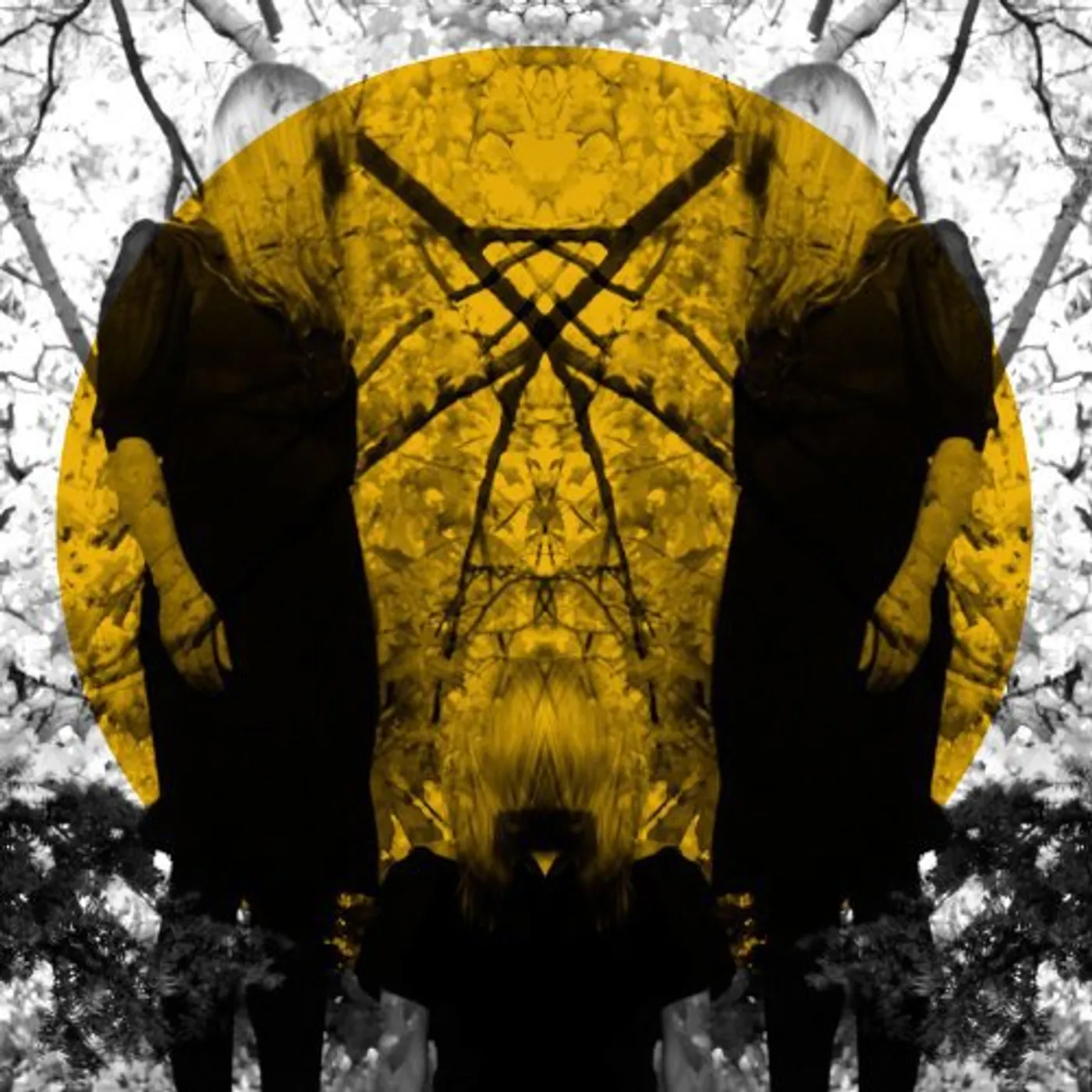 Austra Feel It Break Vinyl Record