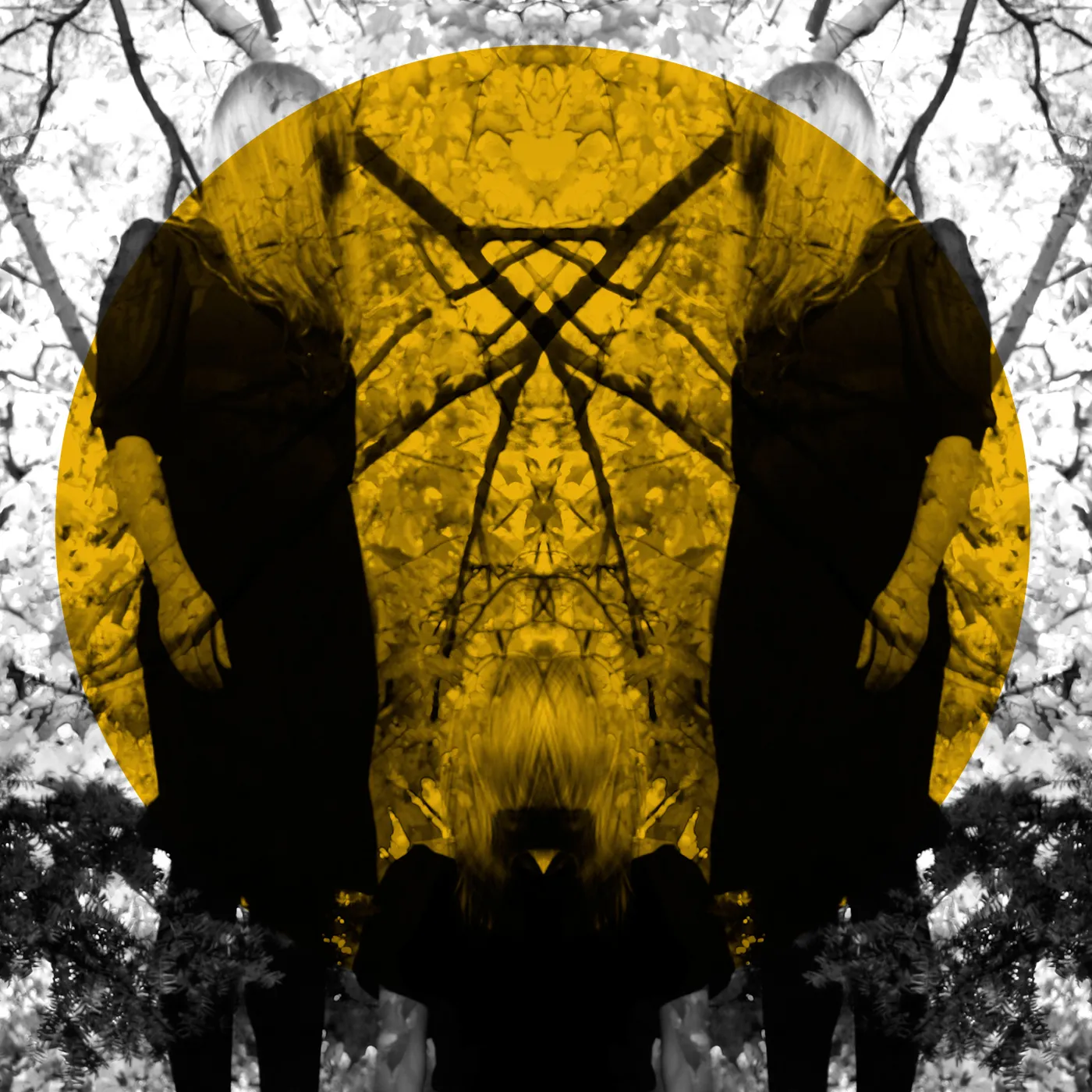 Austra FEEL IT BREAK CD