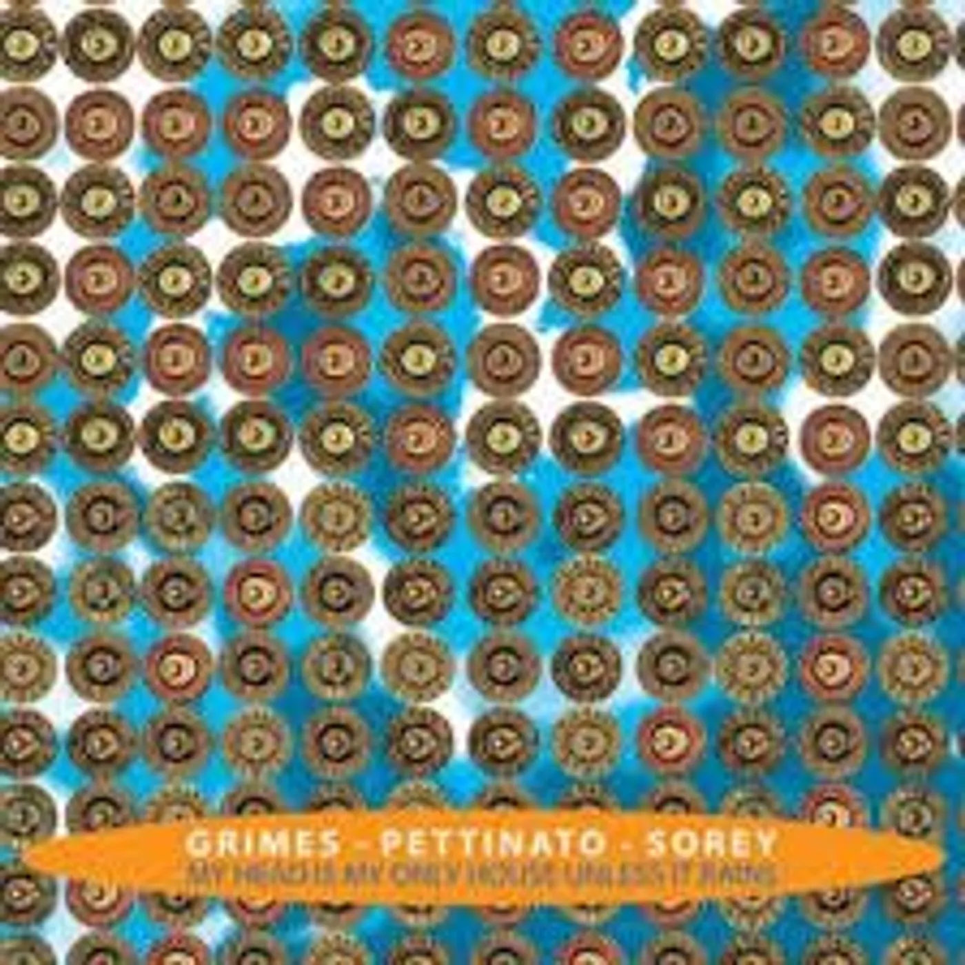 Roberto Pettinato MY HEAD IS MY ONLY HOUSE UNDLESS IT RAINS CD
